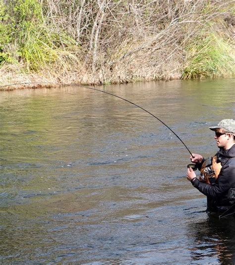 taupo fishing license|Taupo Fishing Regulations .